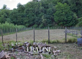 Foto 50 - Independent house Strada Casebianche
 
91, Roccafluvione - photo 50