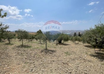 Giardino - Villa Contrada San Matteo
 
SNC, Bivona - foto 56