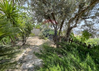 Giardino - Villa Contrada San Matteo
 
SNC, Bivona - foto 64