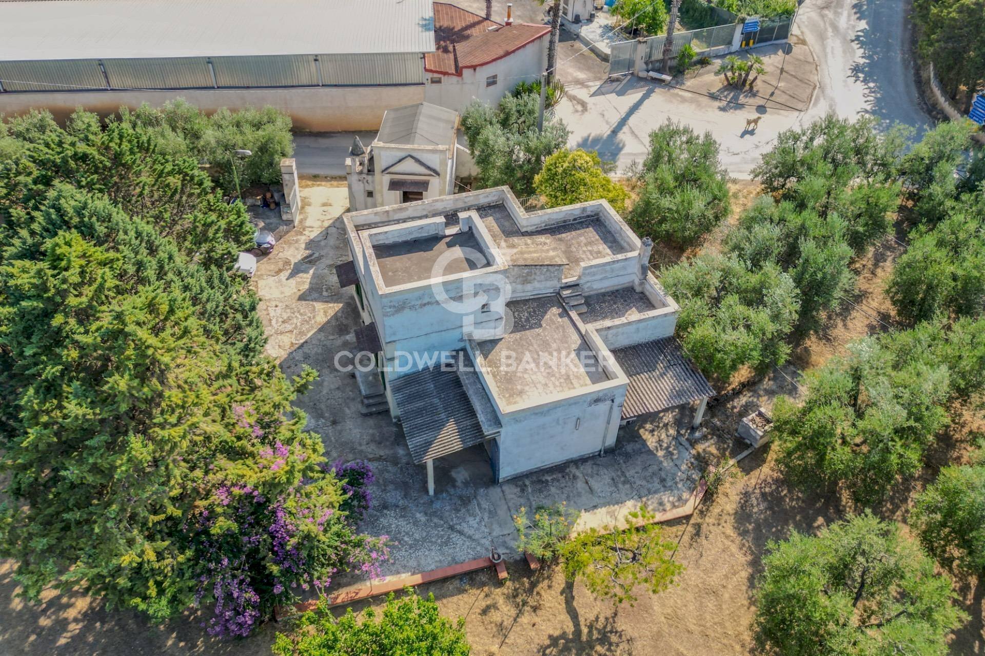 Foto 1 - Villa CONTRADA MACCHIE DI ROSE
 
SN, Andria - photo 1