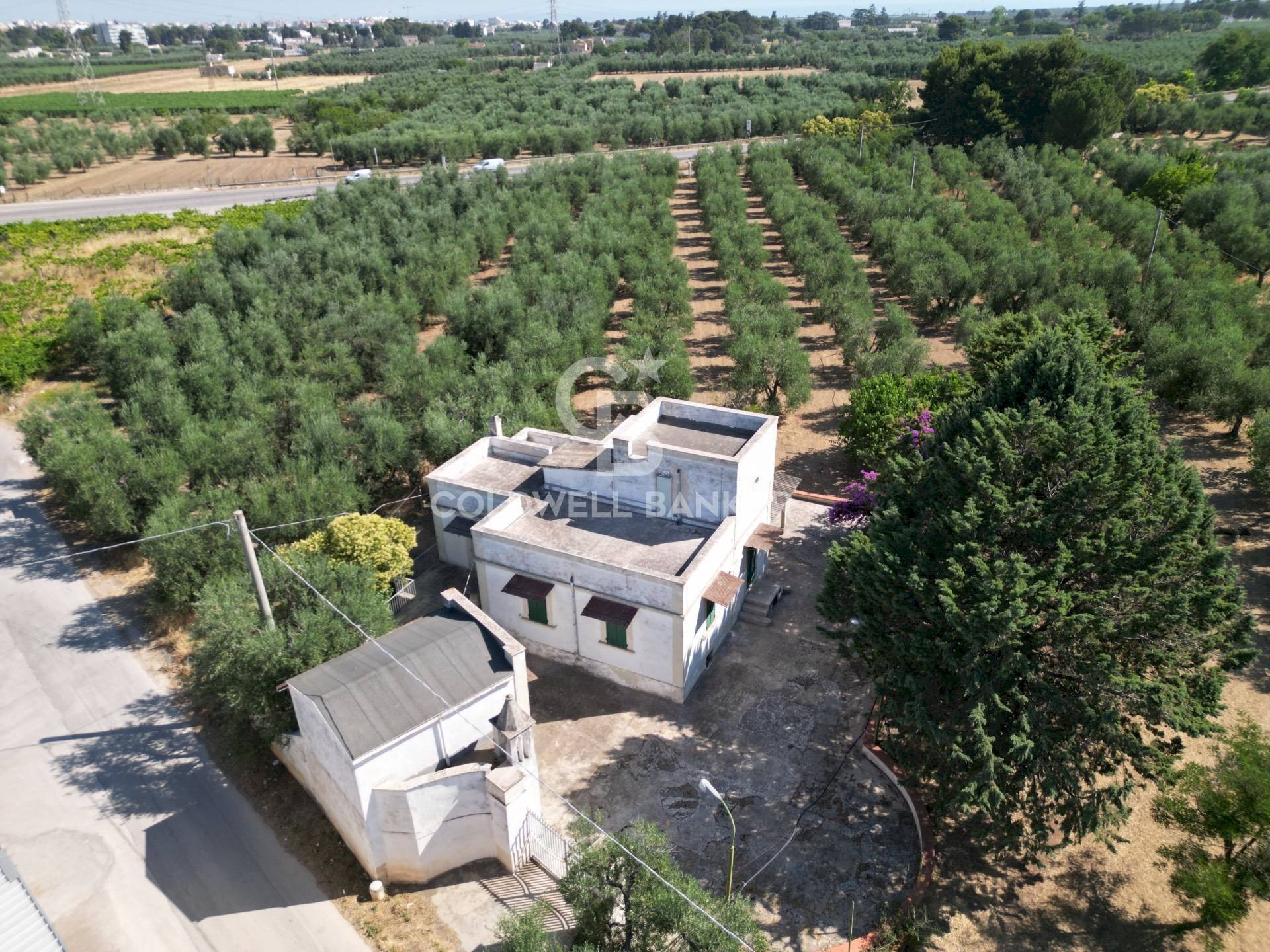 Foto 2 - Villa CONTRADA MACCHIE DI ROSE
 
SN, Andria - photo 2