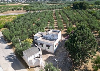 Foto 2 - Villa CONTRADA MACCHIE DI ROSE
 
SN, Andria - photo 2