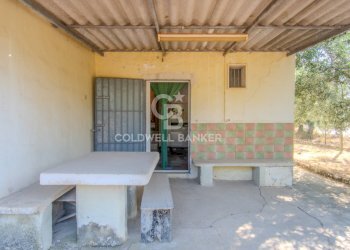 Foto 21 - Villa CONTRADA MACCHIE DI ROSE
 
SN, Andria - photo 21