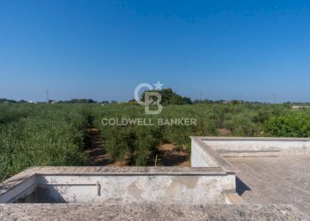 Foto 38 - Villa CONTRADA MACCHIE DI ROSE
 
SN, Andria - photo 38