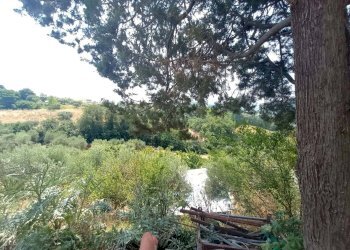 Foto 26 - Casa indipendente Mombaroccio - foto 26