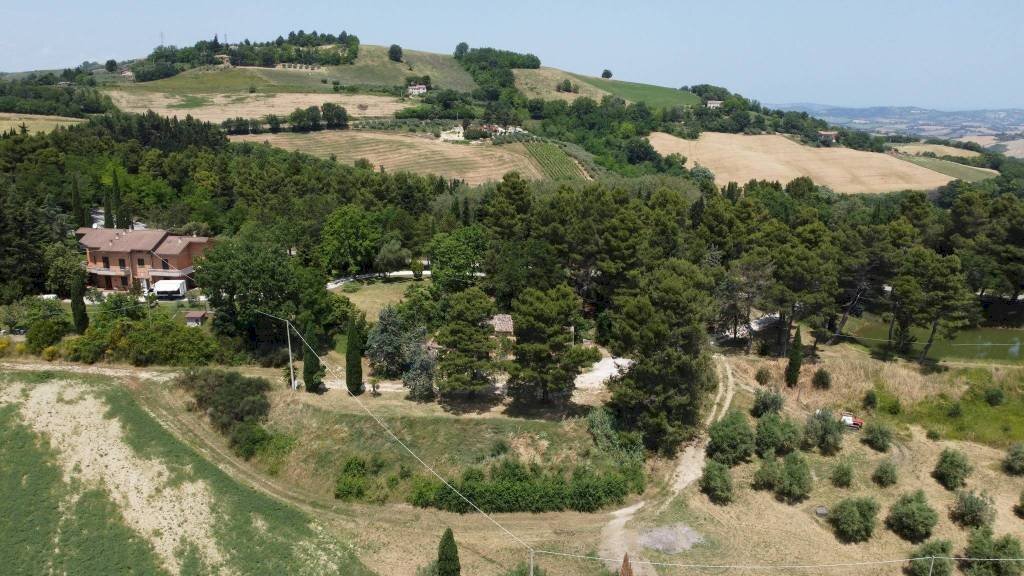 Vista - Agricultural land via Mombaroccese, Cartoceto - photo 2