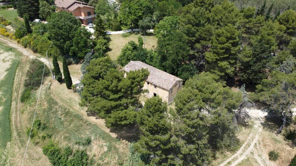 Vista - Agricultural land via Mombaroccese, Cartoceto - photo 3