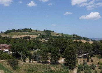 Vista - Agricultural land via Mombaroccese, Cartoceto - photo 1