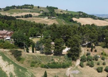 Vista - Agricultural land via Mombaroccese, Cartoceto - photo 2