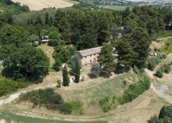 Vista - Agricultural land via Mombaroccese, Cartoceto - photo 7