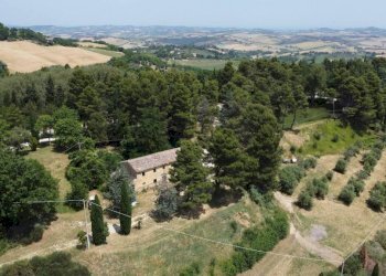 Vista - Agricultural land via Mombaroccese, Cartoceto - photo 9