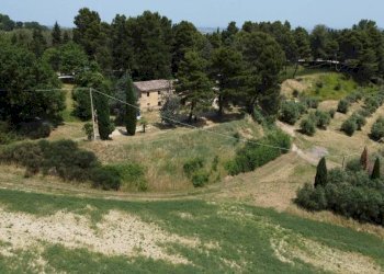 Terreno - Agricultural land via Mombaroccese, Cartoceto - photo 10