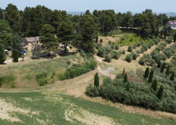 Terreno - Agricultural land via Mombaroccese, Cartoceto - photo 11