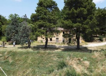 Terreno - Agricultural land via Mombaroccese, Cartoceto - photo 12