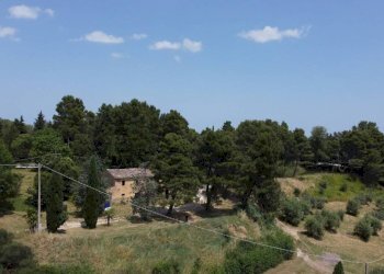 Vista - Agricultural land via Mombaroccese, Cartoceto - photo 15