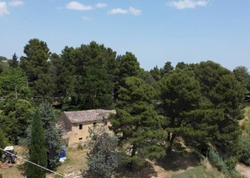 Vista - Agricultural land via Mombaroccese, Cartoceto - photo 17