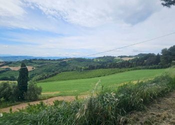 Vista - Agricultural land via Mombaroccese, Cartoceto - photo 22