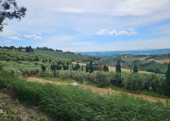 Vista - Agricultural land via Mombaroccese, Cartoceto - photo 24