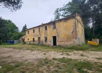 Terreno - Agricultural land via Mombaroccese, Cartoceto - photo 25