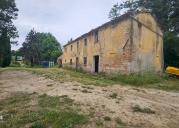 Zona - Agricultural land via Mombaroccese, Cartoceto - photo 26