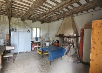 Cantina - Agricultural land via Mombaroccese, Cartoceto - photo 28