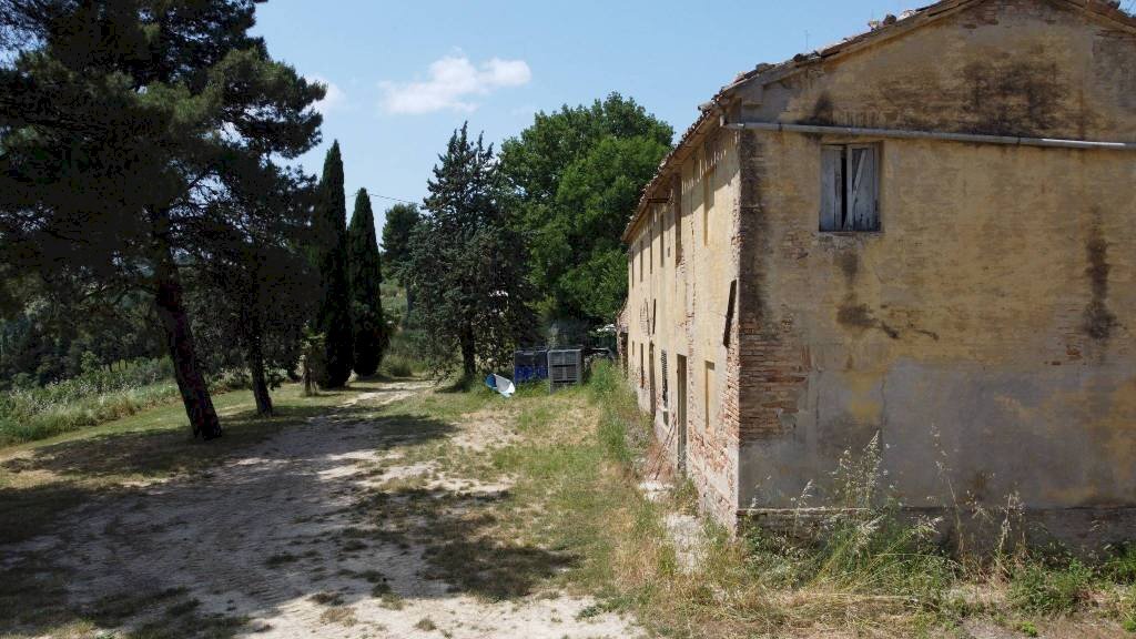 Terreno - Rustic via Mombaroccese, Cartoceto - photo 3