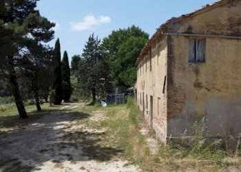 Terreno - Rustico via Mombaroccese, Cartoceto - foto 3