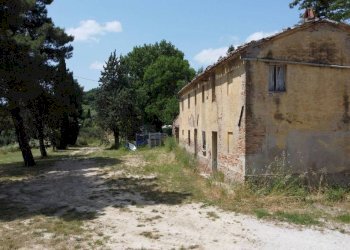 Terreno - Rustico via Mombaroccese, Cartoceto - foto 4