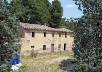 Terreno - Rustico via Mombaroccese, Cartoceto - foto 5