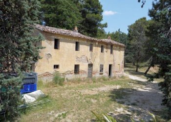 Terreno - Rustico via Mombaroccese, Cartoceto - foto 8