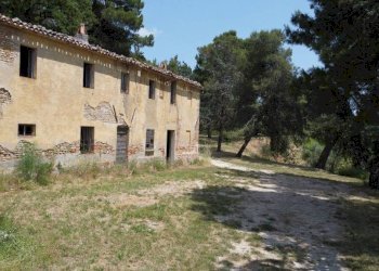 Terreno - Rustico via Mombaroccese, Cartoceto - foto 9