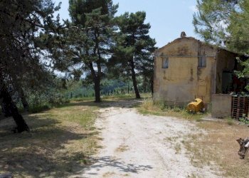 Terreno - Rustico via Mombaroccese, Cartoceto - foto 12