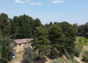 Vista - Rustico via Mombaroccese, Cartoceto - foto 17