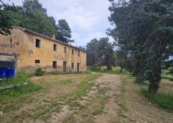 Terreno - Rustico via Mombaroccese, Cartoceto - foto 18