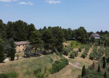 Vista - Rustico via Mombaroccese, Cartoceto - foto 20