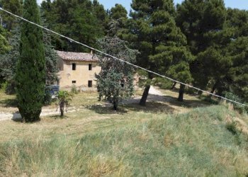 Terreno - Rustico via Mombaroccese, Cartoceto - foto 21