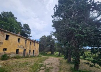 Terreno - Rustico via Mombaroccese, Cartoceto - foto 22