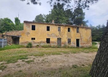 Terreno - Rustico via Mombaroccese, Cartoceto - foto 23