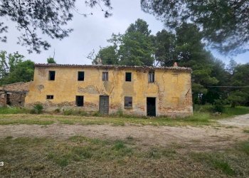 Terreno - Rustico via Mombaroccese, Cartoceto - foto 25