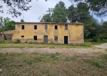 Terreno - Rustico via Mombaroccese, Cartoceto - foto 26