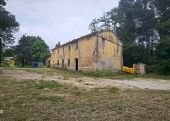 Terreno - Rustico via Mombaroccese, Cartoceto - foto 32