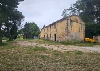 Terreno - Rustico via Mombaroccese, Cartoceto - foto 33