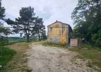 Terreno - Rustico via Mombaroccese, Cartoceto - foto 34