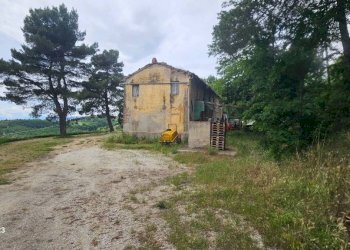 Terreno - Rustico via Mombaroccese, Cartoceto - foto 36