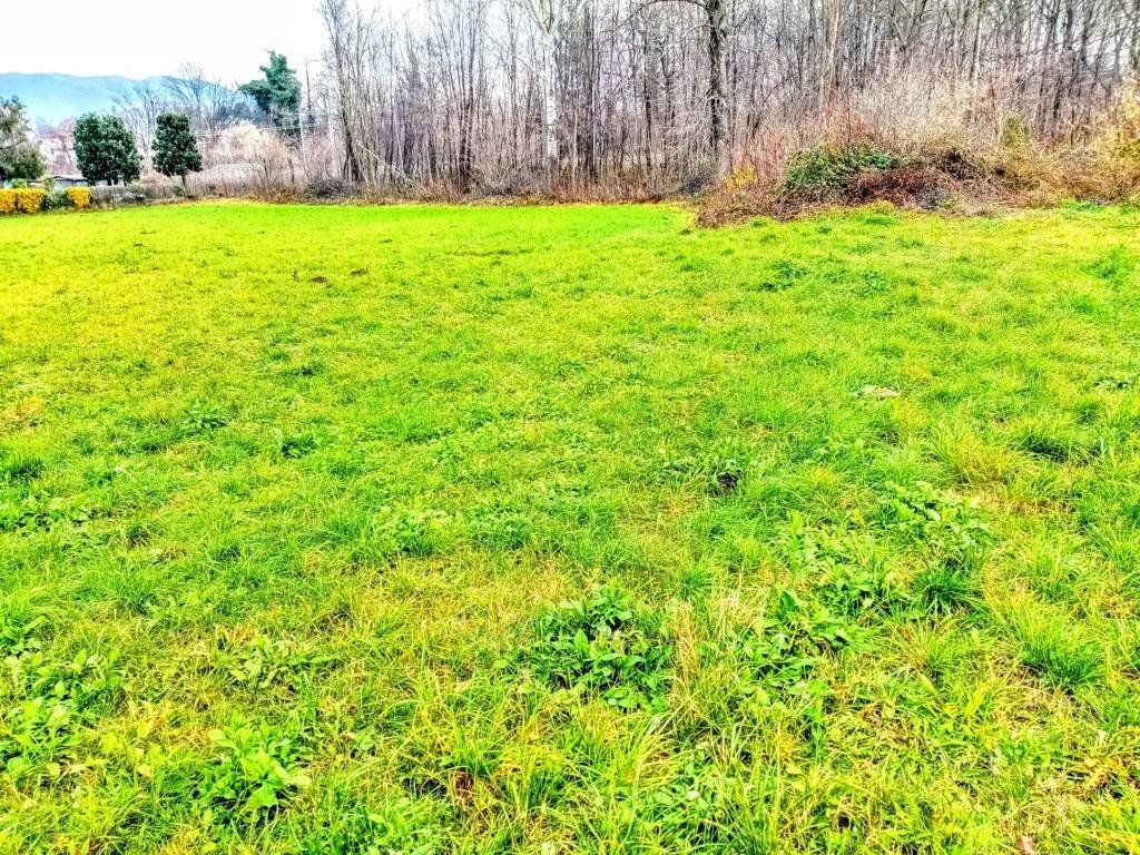 Terreno - Terreno edificabile via Enrico Fermi, Ispra - foto 1