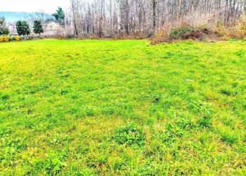 Terreno - Terreno edificabile via Enrico Fermi, Ispra - foto 1