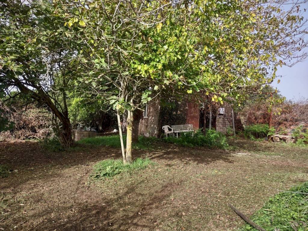 Terreno - Terreno edificabile via Nettunense, 75, Anzio - foto 2