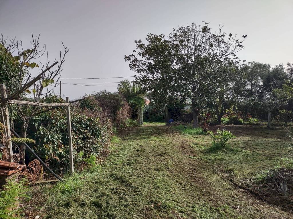 Terreno - Terreno edificabile via Nettunense, 75, Anzio - foto 3