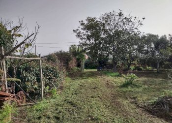 Terreno - Terreno edificabile via Nettunense, 75, Anzio - foto 3