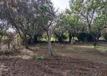 Terreno - Terreno edificabile via Nettunense, 75, Anzio - foto 4